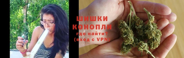 гашик Козельск