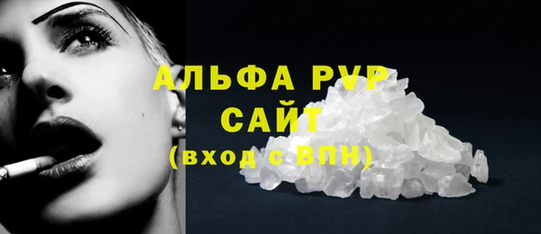 гашик Козельск