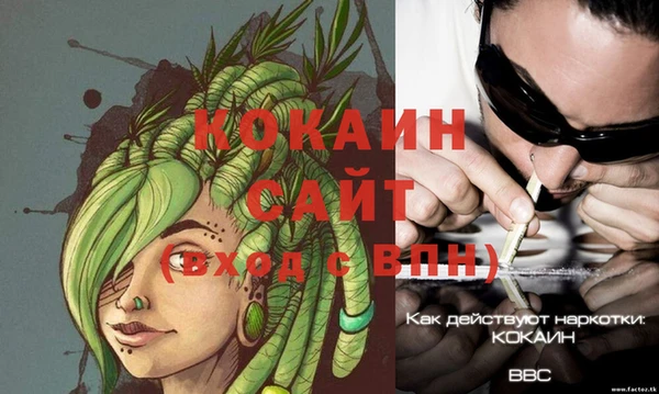 гашик Козельск