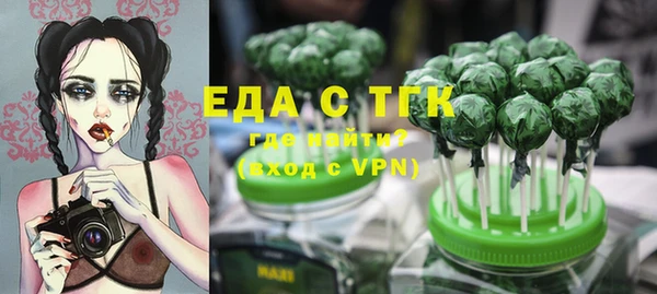 гашик Козельск