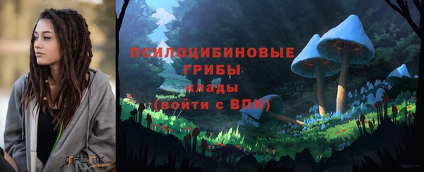 гашик Козельск