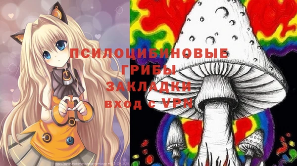 прущие крисы Кодинск