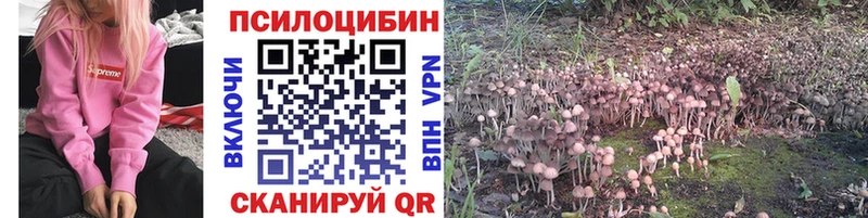 купить   кракен как зайти  Псилоцибиновые грибы GOLDEN TEACHER  Красный Сулин 